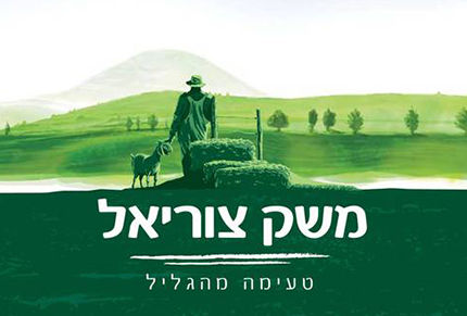 משק צוריאל